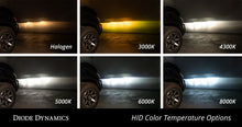 Load image into Gallery viewer, User 2
